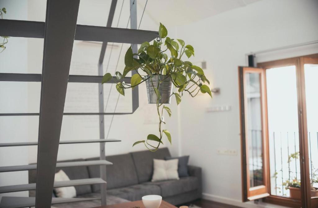 Trigo Homes Кордоба Екстериор снимка